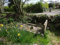 Leigh Delamere - photo: 0501