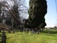 Ogbourne St. Andrew - photo: 0629
