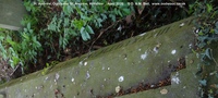 Ogbourne St. Andrew - photo: 0812