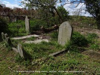 Ogbourne St. Andrew - photo: 0814