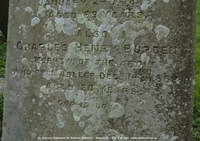 Ogbourne St. Andrew - photo: 0870