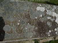 Ogbourne St. Andrew - photo: 0914