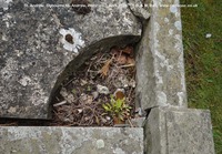 Ogbourne St. Andrew - photo: 0932