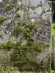 Ogbourne St. Andrew - photo: 1020