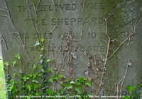 Ogbourne St. Andrew - photo: 1088