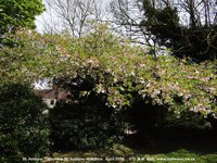 Ogbourne St. Andrew - photo: 1344