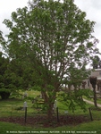 Ogbourne St. Andrew - photo: 1348