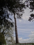 Ogbourne St. Andrew - photo: 1357